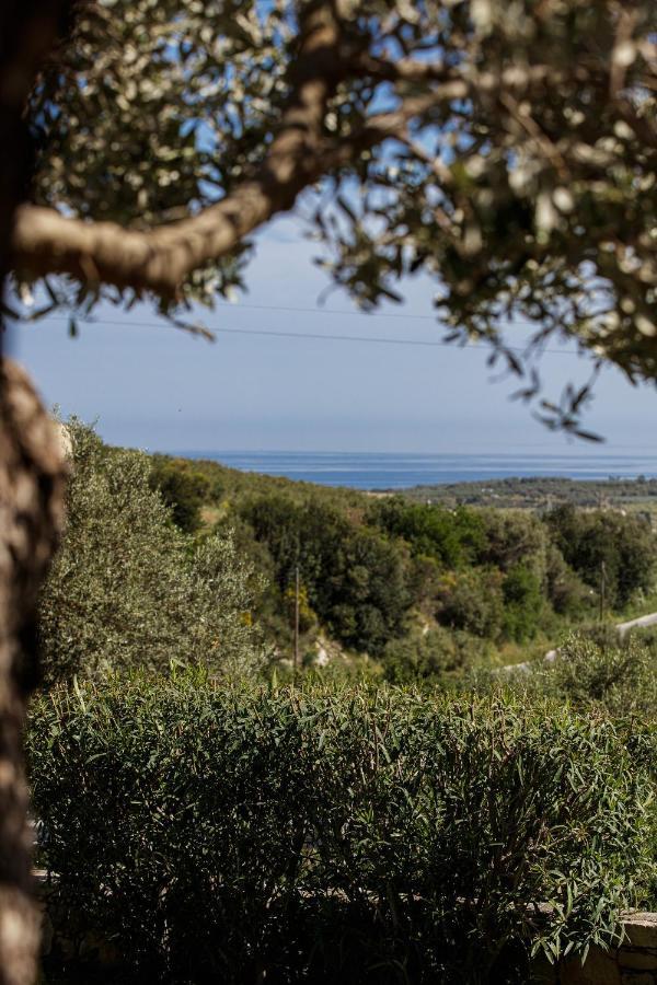 Rizes Villa With Jacuzzi & Heated Pool Agia Triada Экстерьер фото